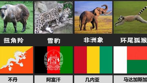 563799152bf246713dbc65319c9323401ee1551f.jpg@480w_270h_1c