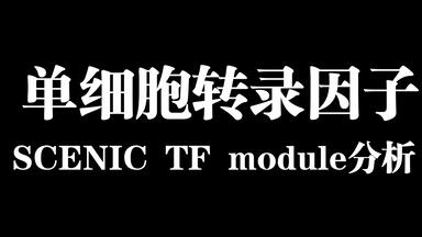 <em class="keyword">SCENIC</em>转录因子CSI计算及Module分析及可视化函数