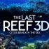 最后的珊瑚礁（蓝光4K HDR）中英特效字幕「2012」