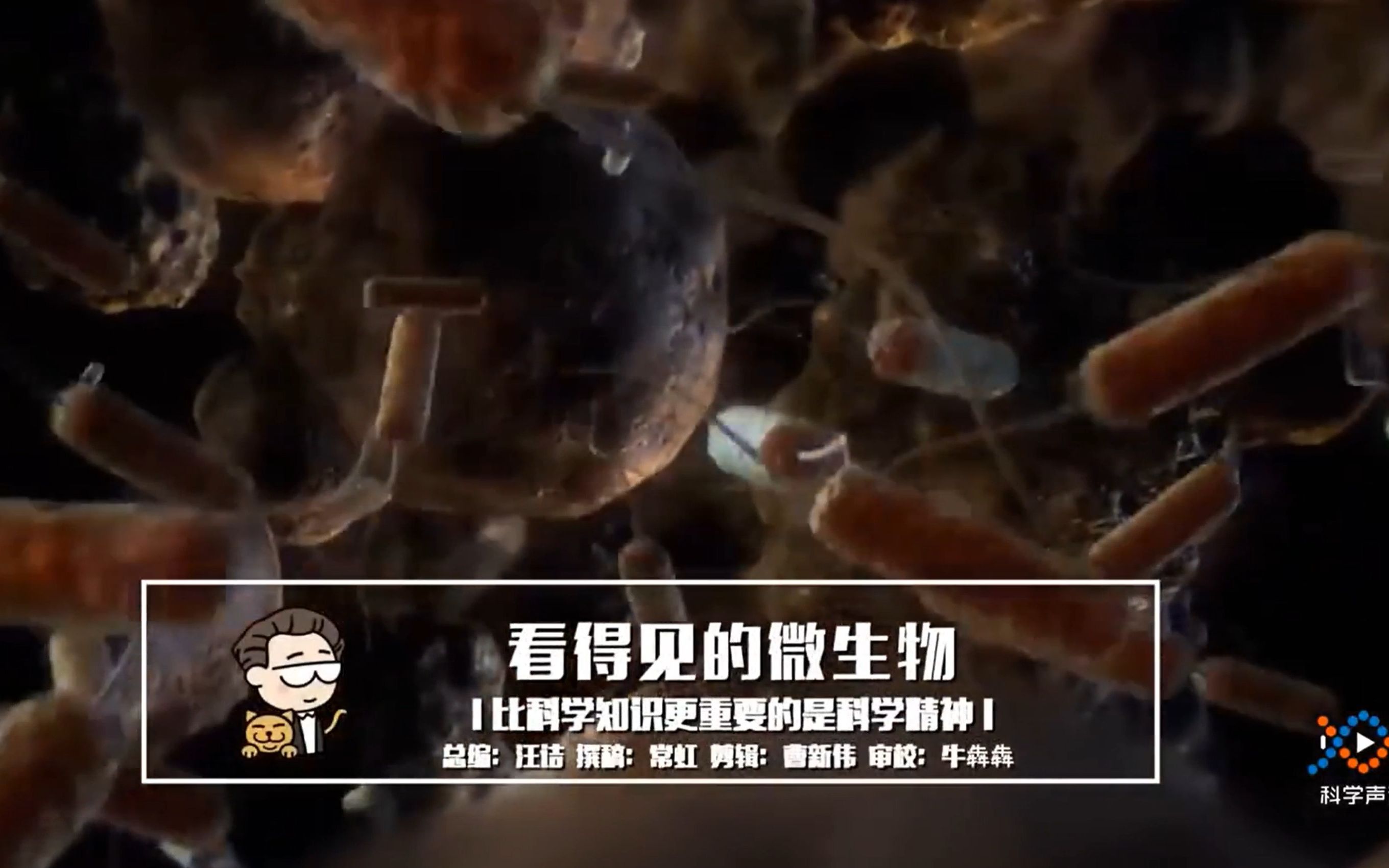 冀人版小学科学五年级下册14、看得见的微生物-科学声音