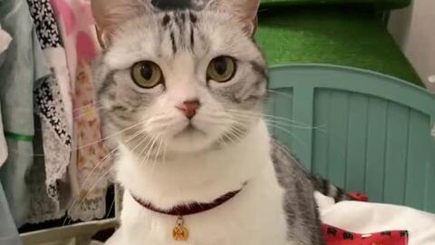 567e10aa4dd8cea1a9c9413308798814f485cd09.jpg@480w_270h_1c