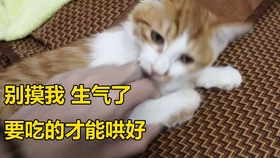56c928d8f967a3542404761dc5abbcc49f412431.jpg@280w_158h_1c_100q.jpg