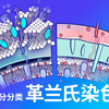 【医学科普】阳紫阴红：为什么染完细菌有红紫之分