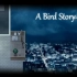 《A Bird Story》鸟的故事  全剧情 无解说
