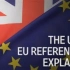 【双语科普】英国为什么想脱离欧盟