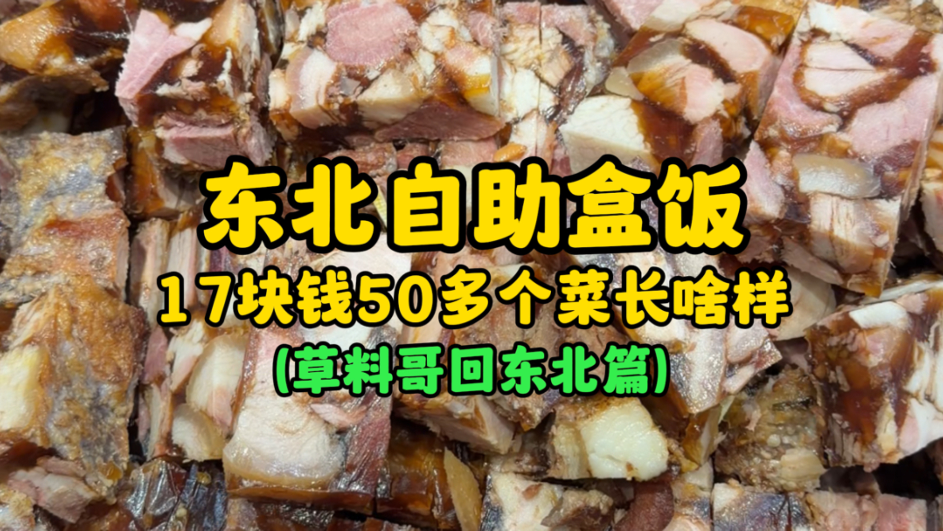 东北自助盒饭17元50多个菜长啥样