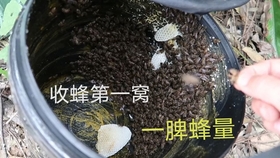 5706eec7a357c491cfc1c4820a1b8c4622050bca.jpg@280w_158h_1c_100q.jpg