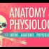 【10分钟速成课：解剖与生理】第1集 - 解剖与生理简介