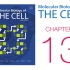 《细胞的分子生物学》第13章 细胞内膜运输 配套视频（字幕重制版）