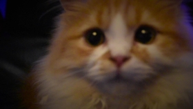 5714fe1e5e6bee65c6e84a74ea2afc3643cbc3b8.jpg@280w_158h_1c_100q.jpg