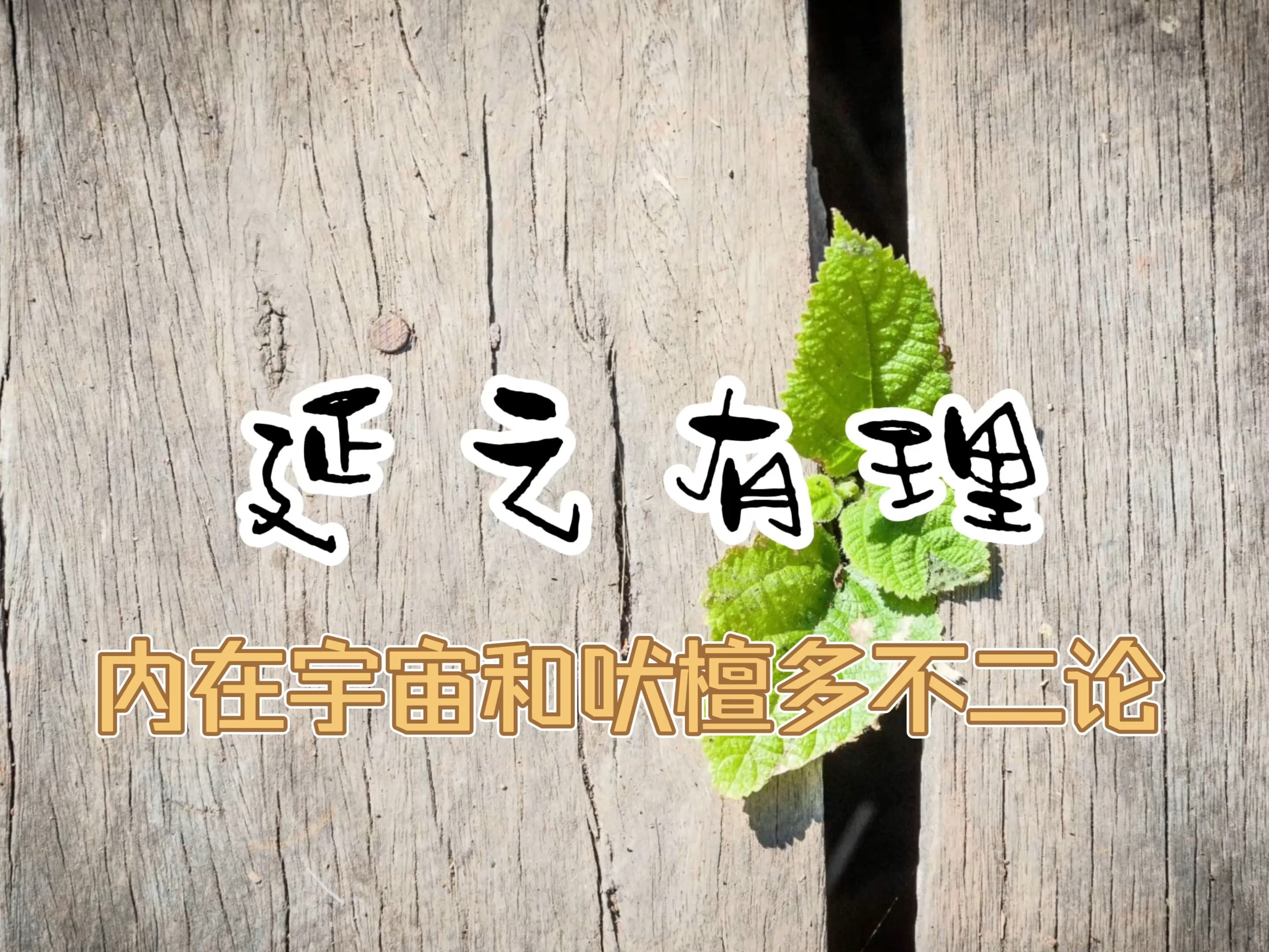 延之有理—第42集 内在宇宙和吠檀多不二论星纪传说星纪传说哔哩哔哩视频