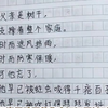被十二岁男孩的作文震惊，他的思想深度真的好高