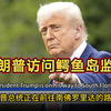 野生鳄鱼助力移民管理？特朗普出席新建非法移民拘留中心启用仪式