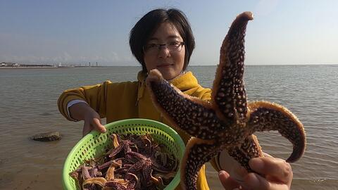 怎么抓八爪鱼和章鱼 574ed94afacd3c44ddf76d2c991fbbeba896d664.jpg@480w_270h_1c