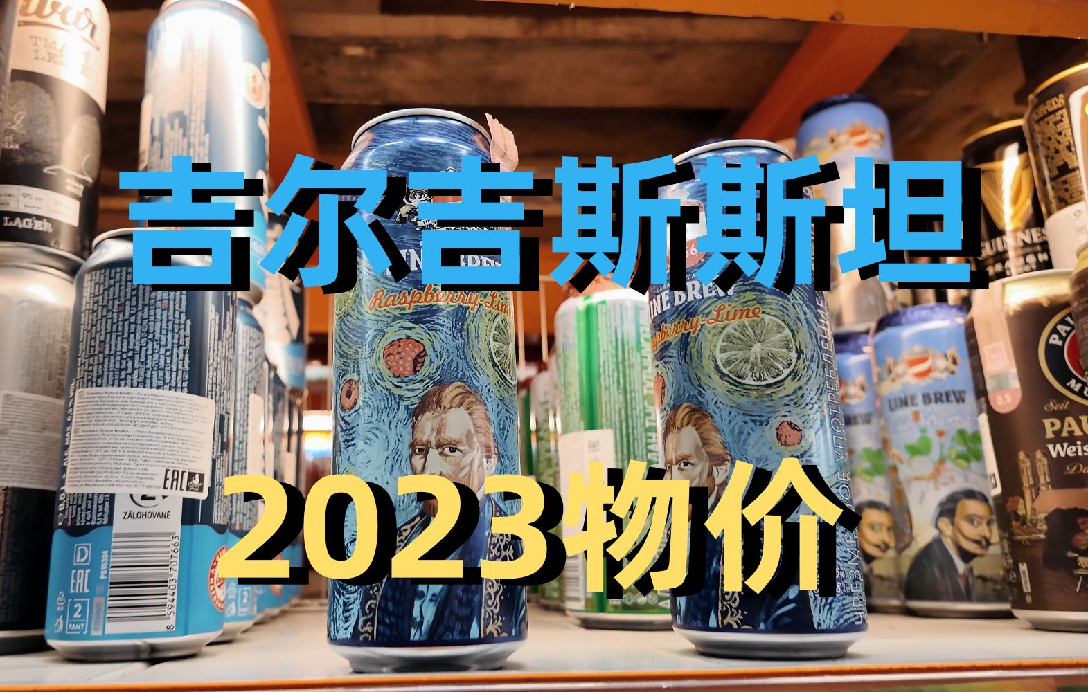 中亚行第四期｜吉尔吉斯斯坦2024年最新物价，来和我逛超市吧！【老项头的VIDEO】