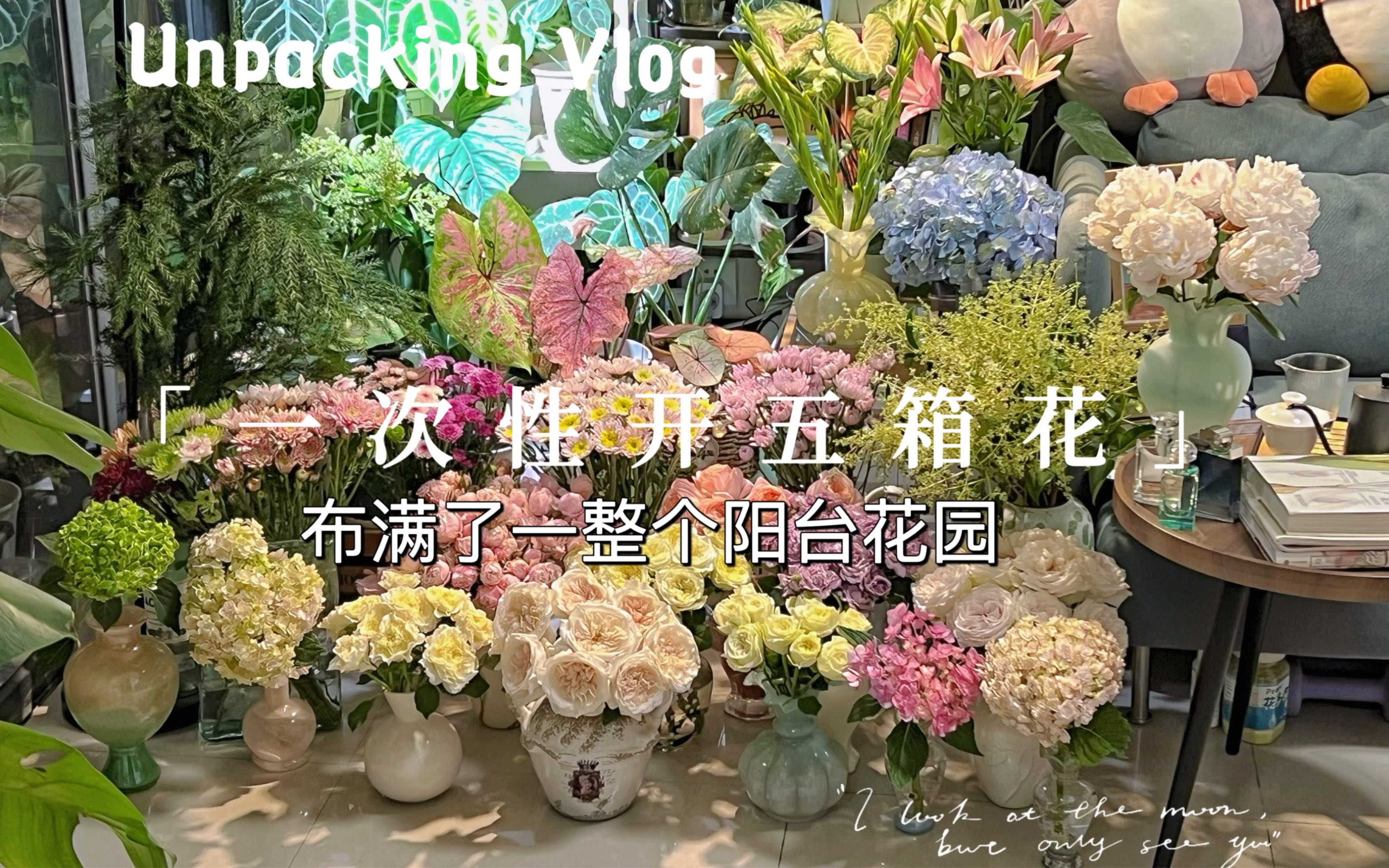 网购鲜花开箱Vlog71｜一次性开五箱花布满了一整个阳台花园