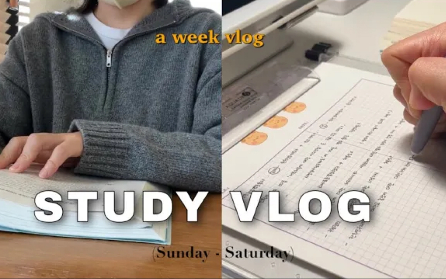 Study Vlog Iwool Bilibili