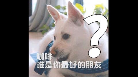 5763571578154428522a70fb45f3789776ff4e44.jpg@480w_270h_1c