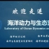 天津大学海洋学院-海洋动力与生态室（LODE）-宣传视频