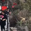 女游客在桂林举手机四处拍风景 竟拍到清洁工意外举动