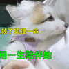 女人救了狐狸一命，它却用一生来陪伴她