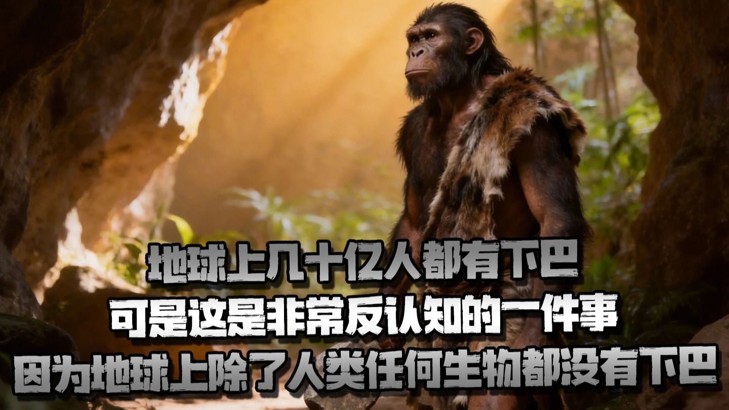 地球上几十亿人都有下巴 ，可是这是非常反认知的一件事， 因为地球上除了人类任何生物都没有下巴