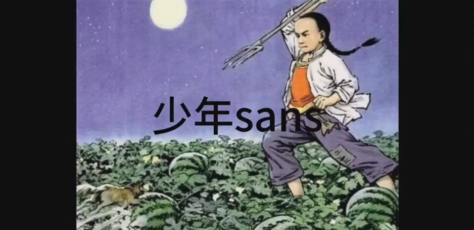 sans刺猹