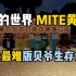 我的世界MITE黄昏：史上最难版贝爷生存介绍！