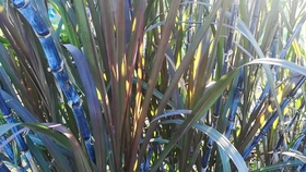 57bb6862d511a6d9f10dbbdb6955e2541ff2c42b.jpg@280w_158h_1c_100q.jpg