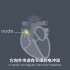 3D医学动画：《心脏起搏器》