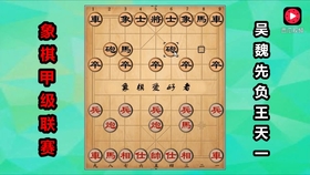 象棋排名2017_象棋对象图片