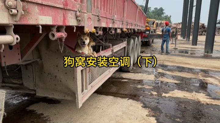 狗窝装空调（下）