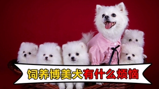 57e840e829e93264b3182648c757e7977fd6d2c0.jpg@310w_174h_1c_100q.jpg