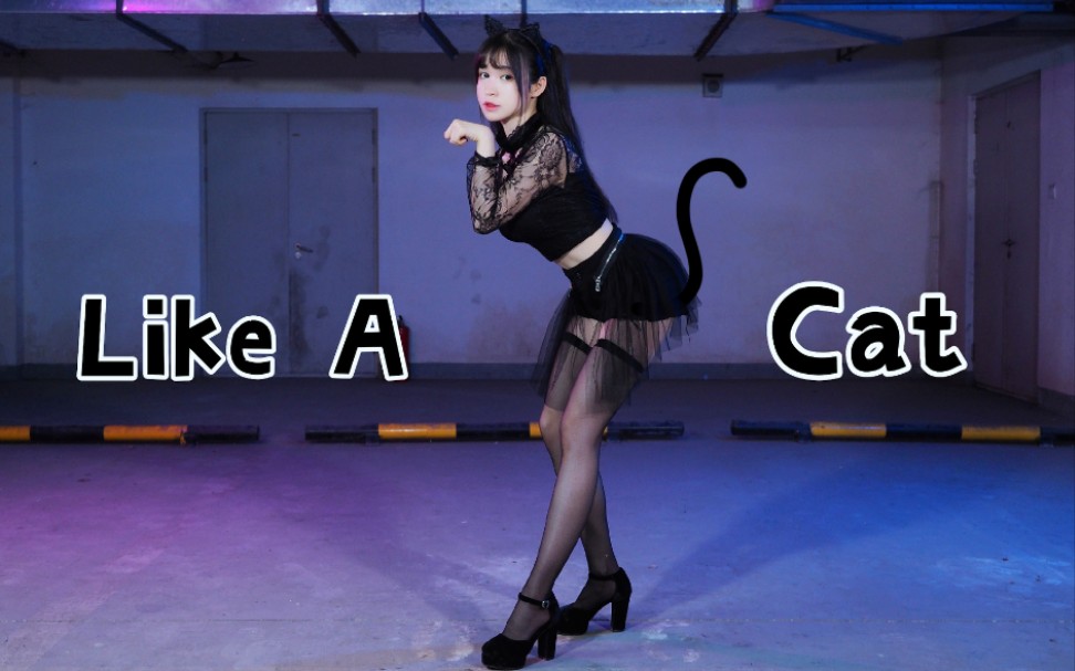 【糖小V】Like a cat猫步轻俏【做你的猫～】