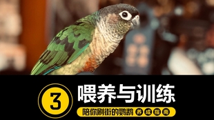 57eee2e39f44aa612f569a9638d97cc89259736c.jpg@310w_174h_1c_100q.jpg