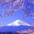 【自用】《富士山下》伴奏升四个调