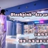 【Ssica西西卡的韩舞教学】Blackpink/Selena - ice cream 粉墨最新合作曲 零基础学韩舞 全