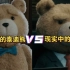 想象中的泰迪熊vs现实中的泰迪熊