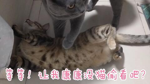 5804e4c7b681779e32034a84d5ddd4d3217bd4d9.jpg@480w_270h_1c