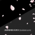 Pr/Ae/Fcpx/Edius视频素材-18款唯美樱花飘落花朵桃花飞舞动画素材 S00274 嘟哩嘟哩
