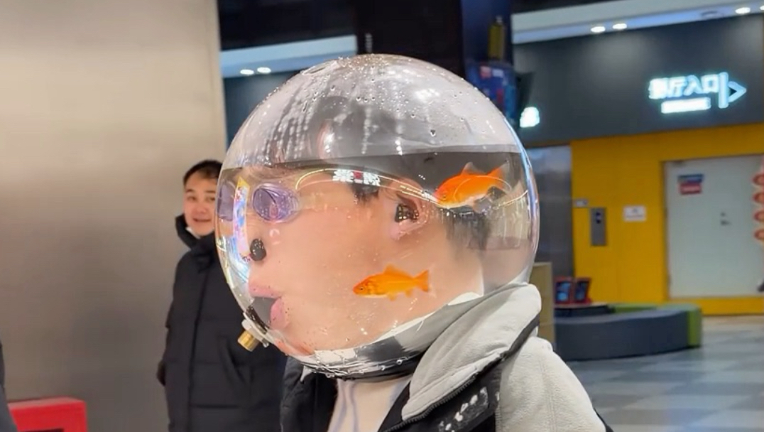 bro的人头鱼缸