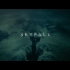 007：大破天幕杀机-Skyfall纯伴奏版MV