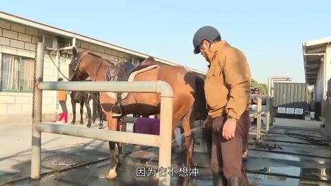 583b9620505356dff5f583590b9a73f3f2ec4920.jpg@480w_270h_1c