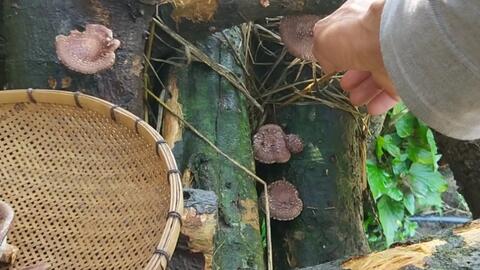 585f23d68130108869f59145634c7cb079180694.jpg@480w_270h_1c