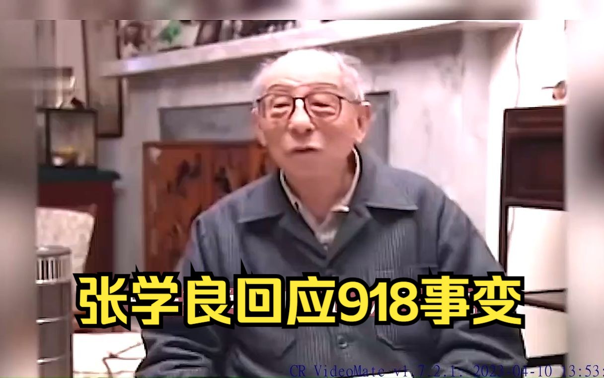 93岁的张学良谈论九一八事变，直言留给日本的步枪可武装19个旅
