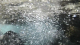 58c21bcdce208261ae536bf3bc7b5bcd6260965a.jpg@280w_158h_1c_100q.jpg