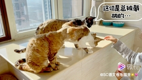 58ce39c6cf4861af7f3746bea20f6059cf42ece4.jpg@280w_158h_1c_100q.jpg