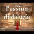 稳定器大神【Brandon Li】西班牙旅拍-安达卢西亚的激情-The Passion of Andalucía-值得反