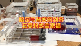 58f6db02d791919aa979282fab5042790718fc00.jpg@280w_158h_1c_100q.jpg