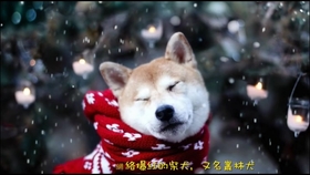 592d4986ad331ce4219e933aa711974310c17fc6.jpg@280w_158h_1c_100q.jpg